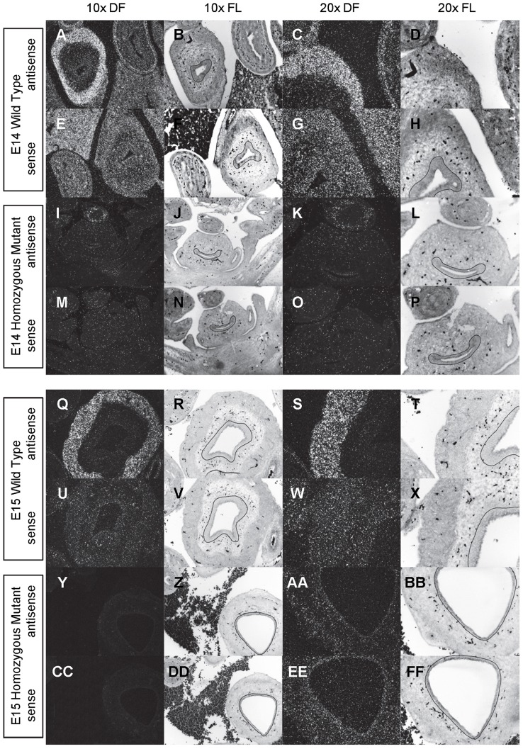 Figure 15