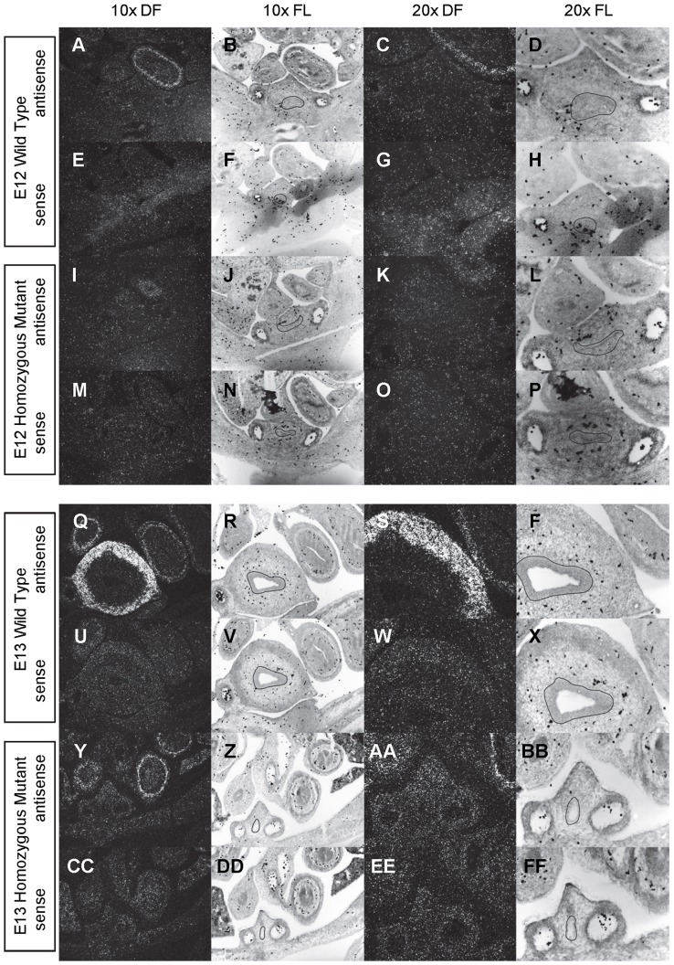 Figure 14