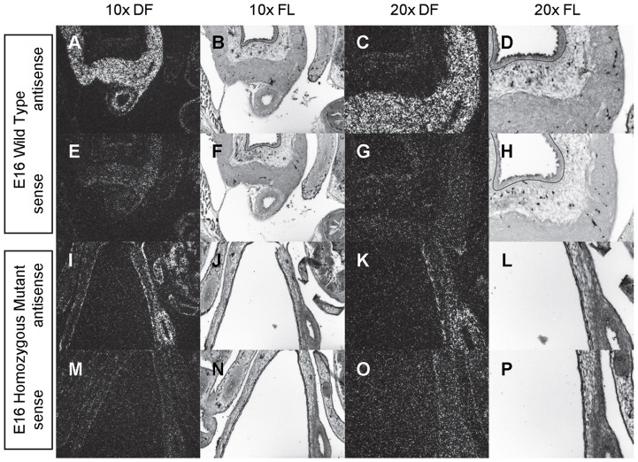 Figure 16