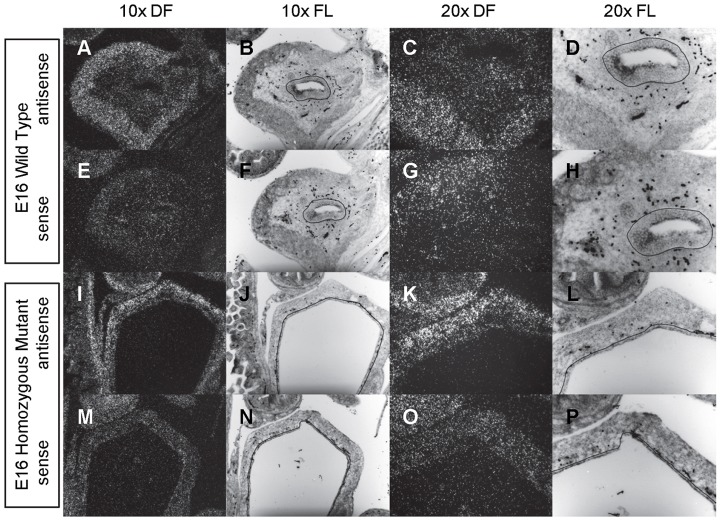 Figure 13