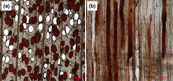 Fig. 7