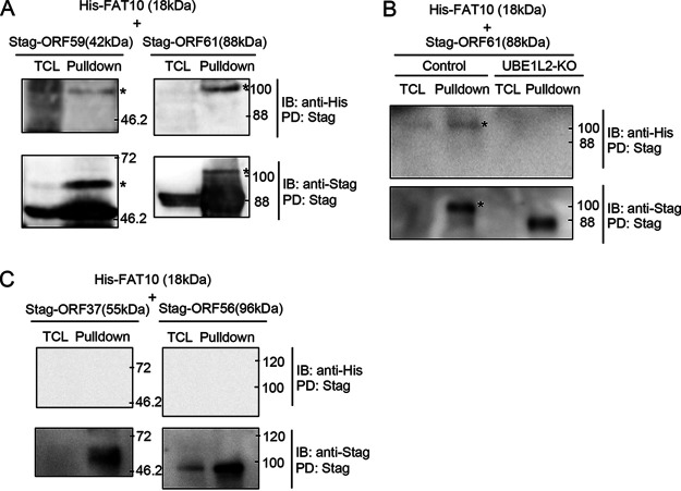 FIG 6