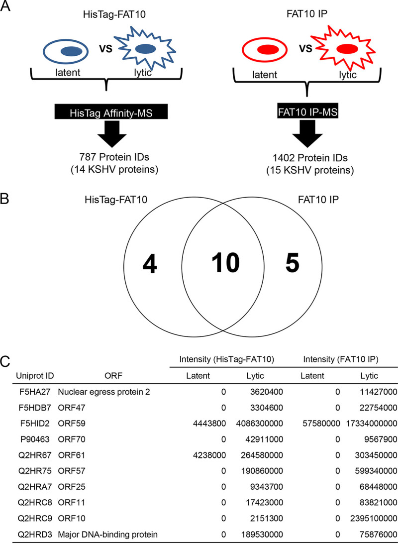 FIG 5