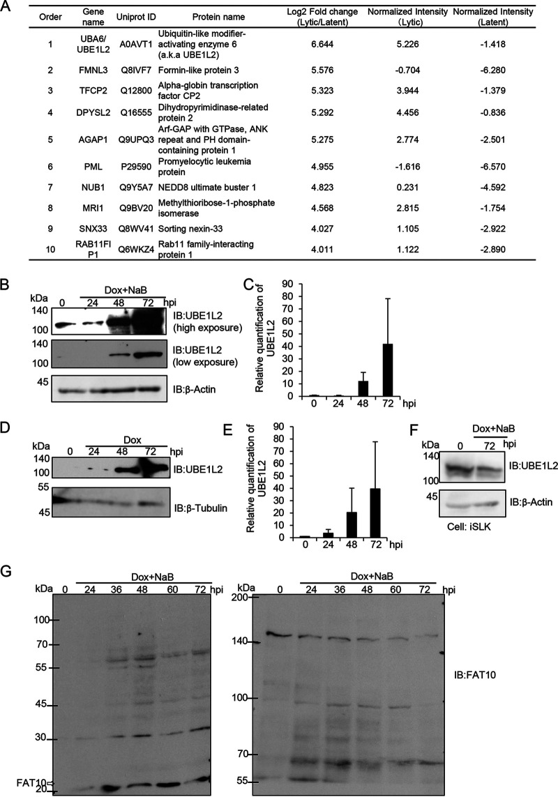 FIG 1