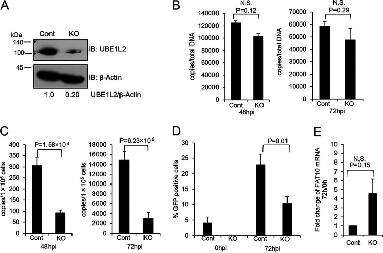 FIG 3