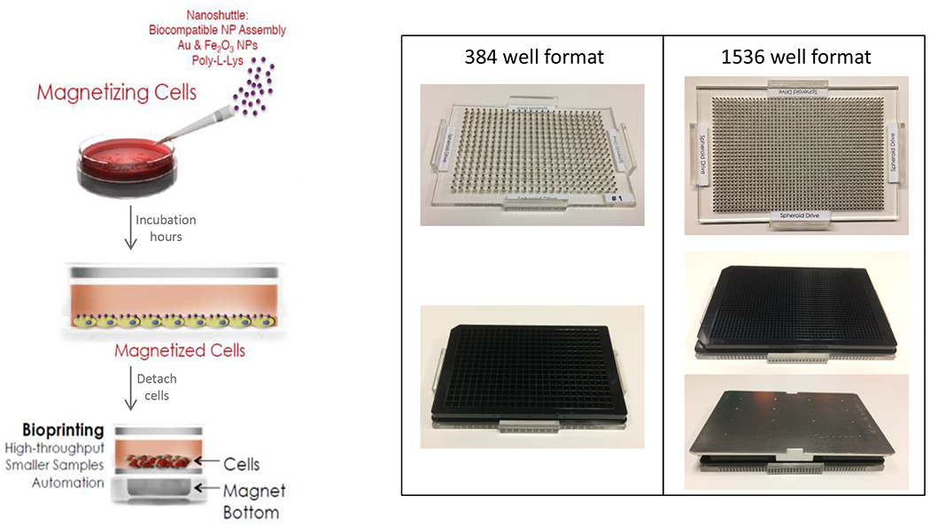 Figure 1: