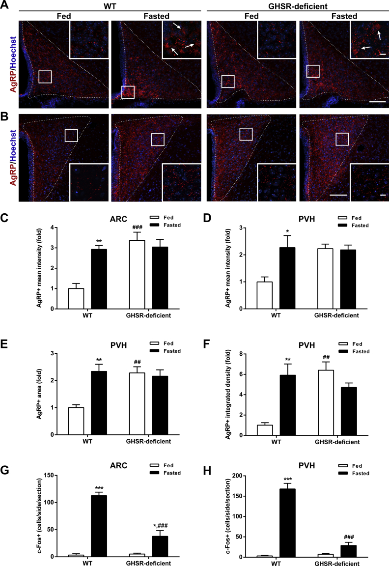 Figure 6