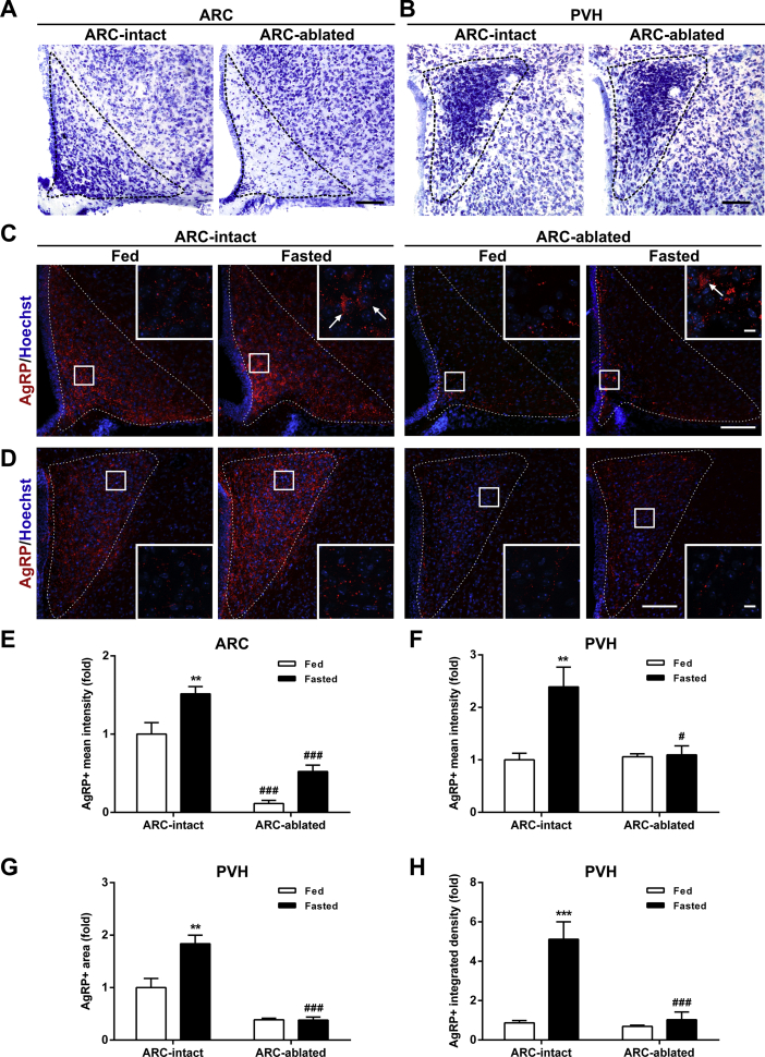 Figure 4