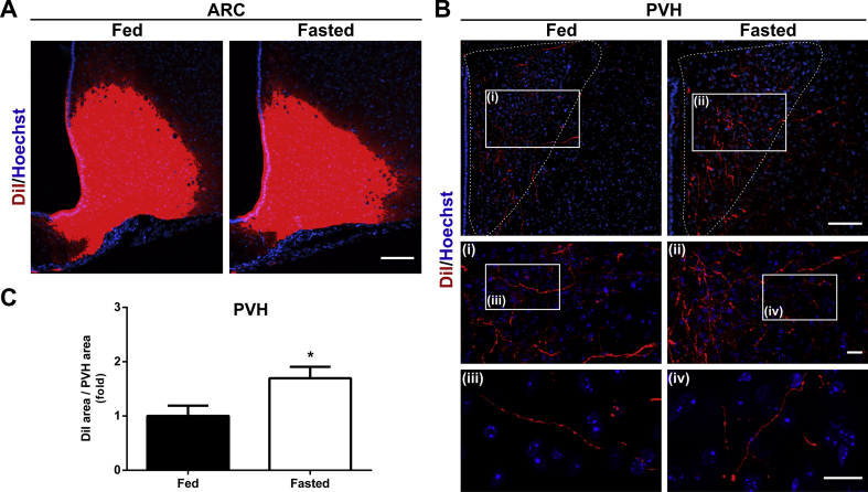 Figure 3