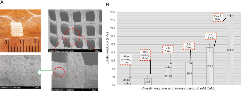 Fig. 14