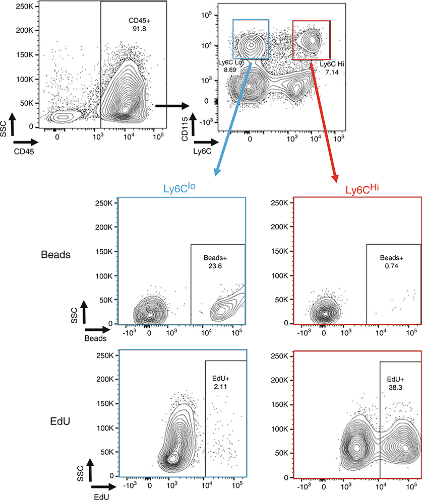 Fig. 2