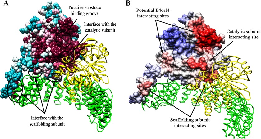 FIGURE 1.