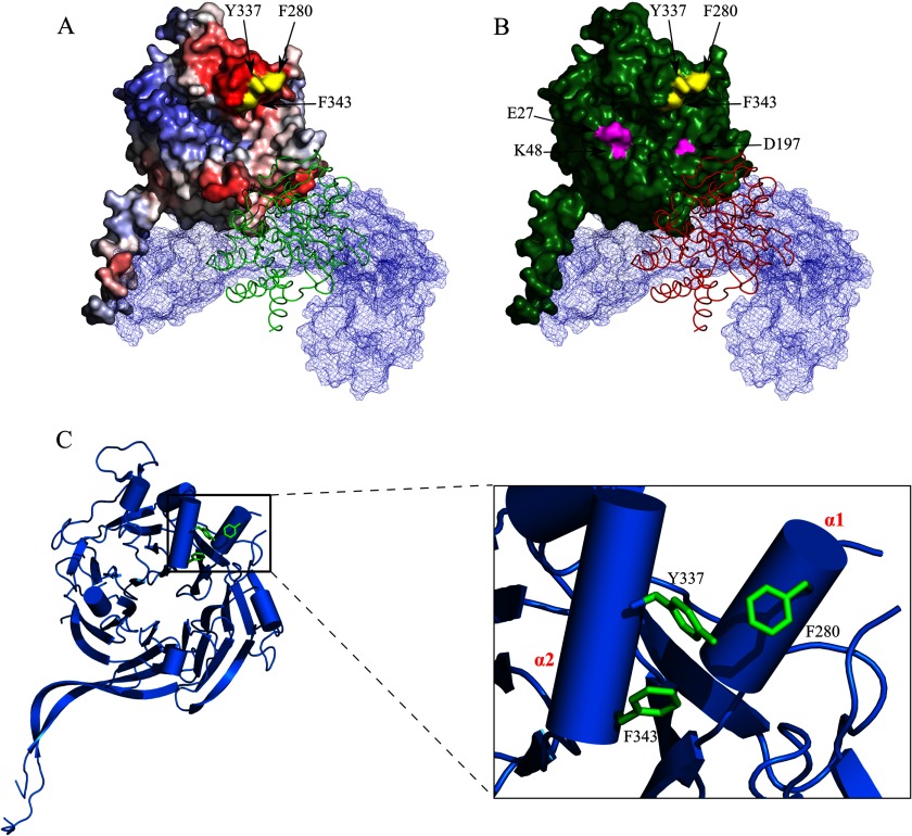 FIGURE 7.