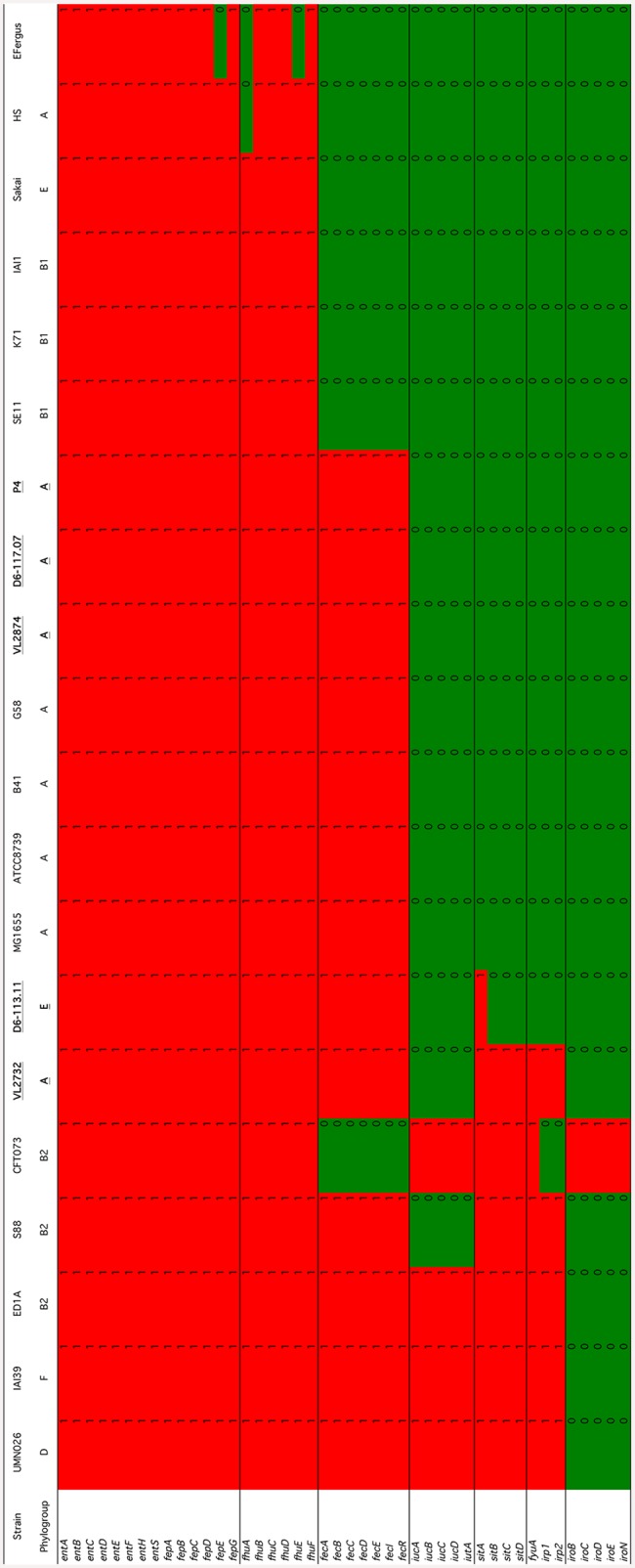 Fig 6