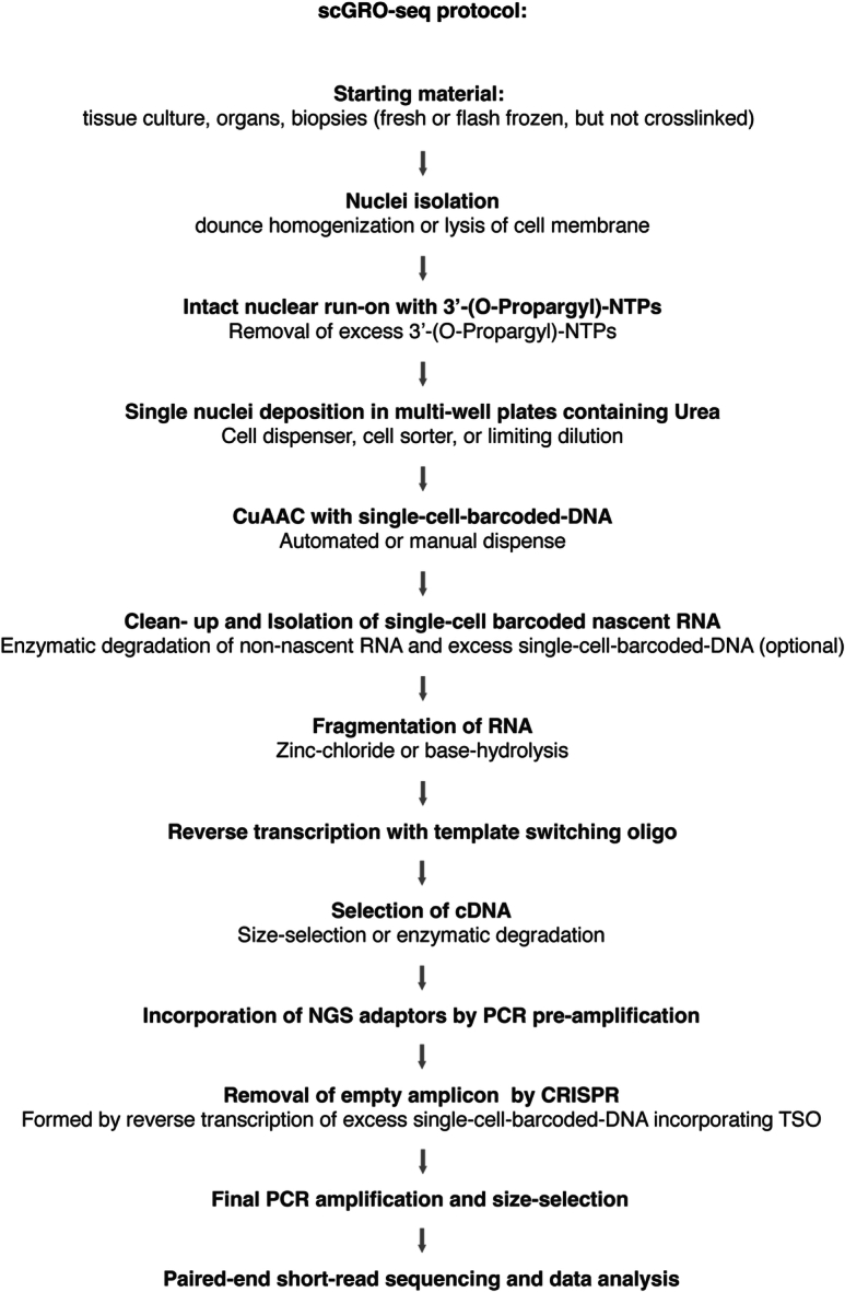 Extended Data Fig. 6