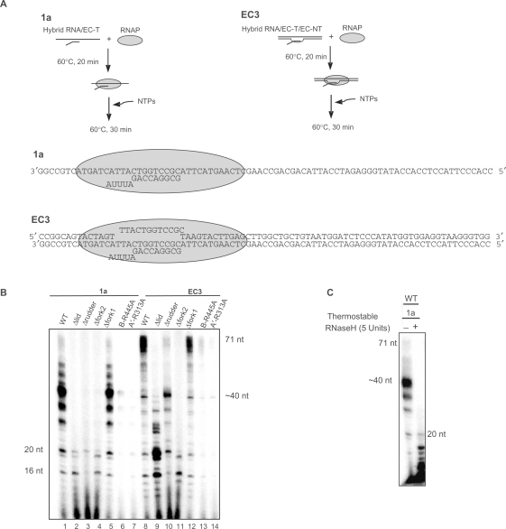 Figure 6.