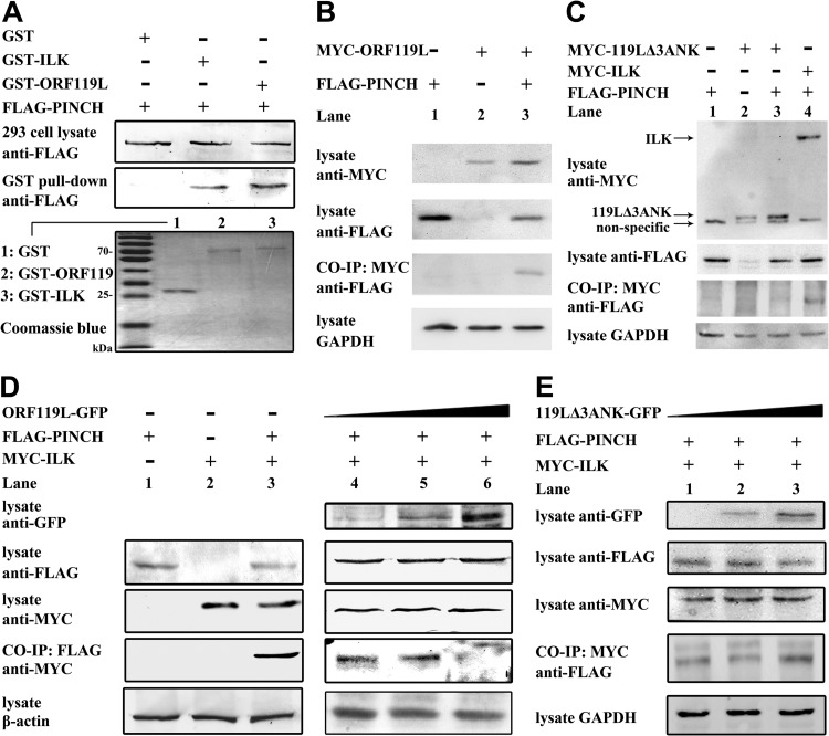 FIG 3