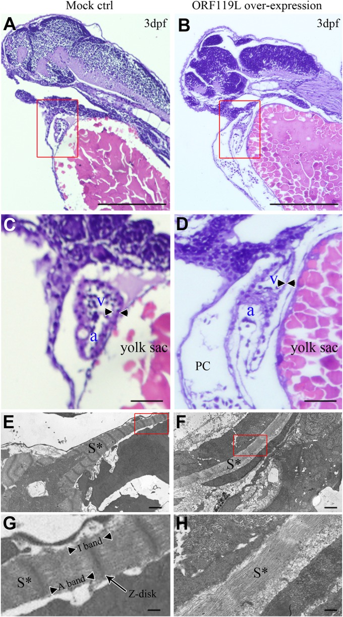 FIG 6