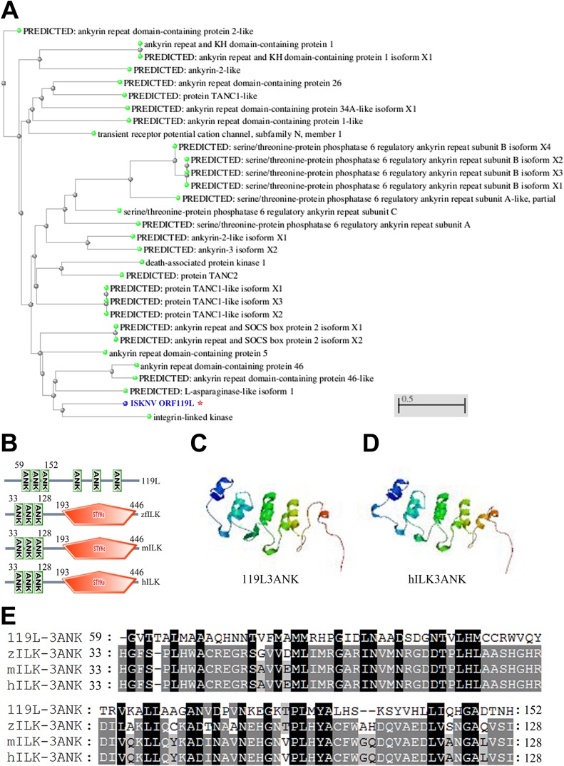 FIG 1