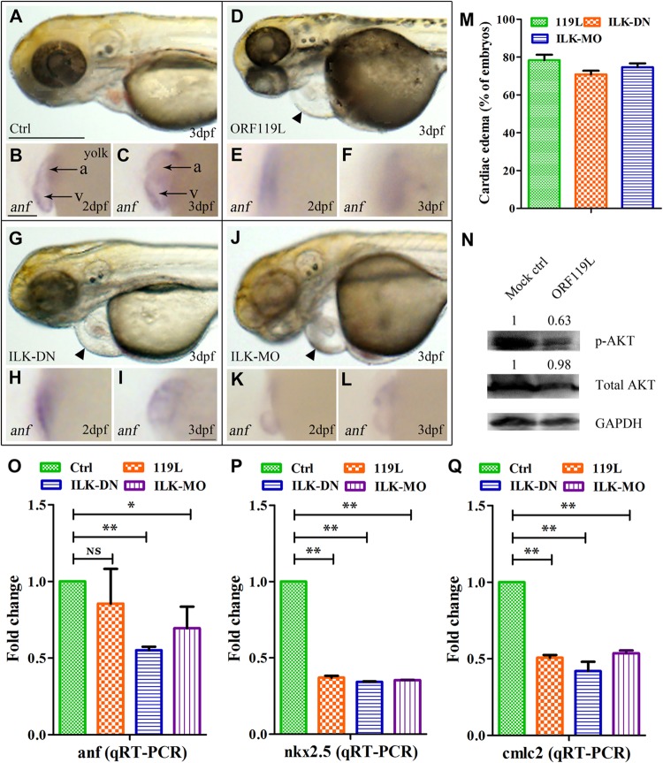 FIG 8