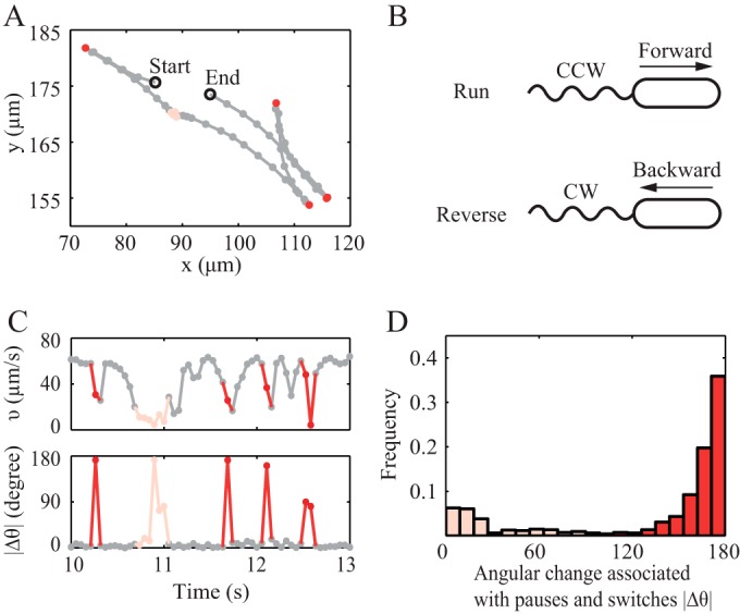 FIG 1 