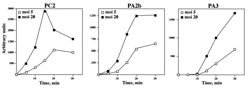 FIG. 7