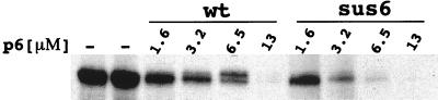 FIG. 5