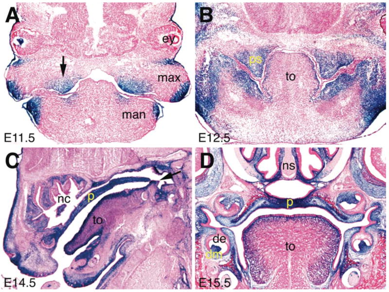 FIG. 3