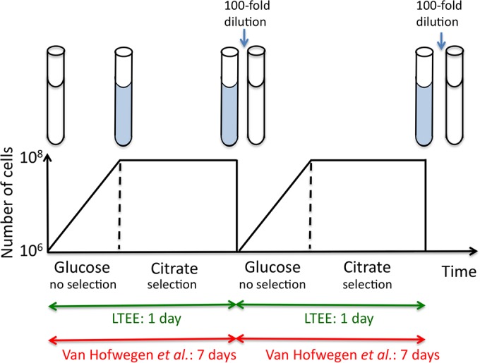 FIG 1