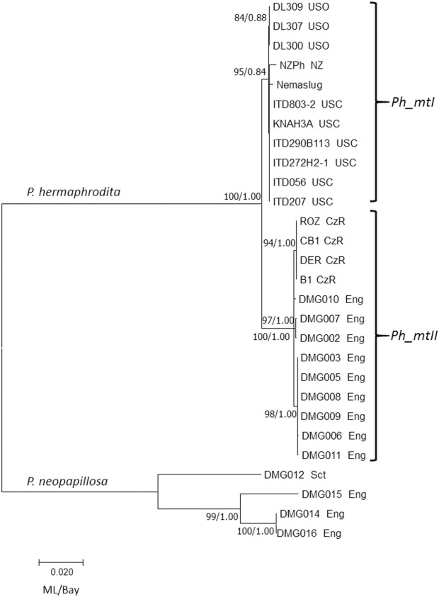 Fig 2