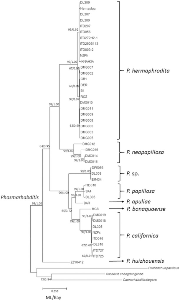 Fig 1