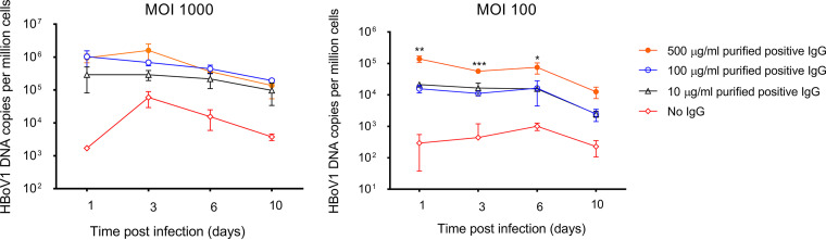 FIG 7