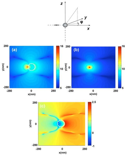 Fig. 10