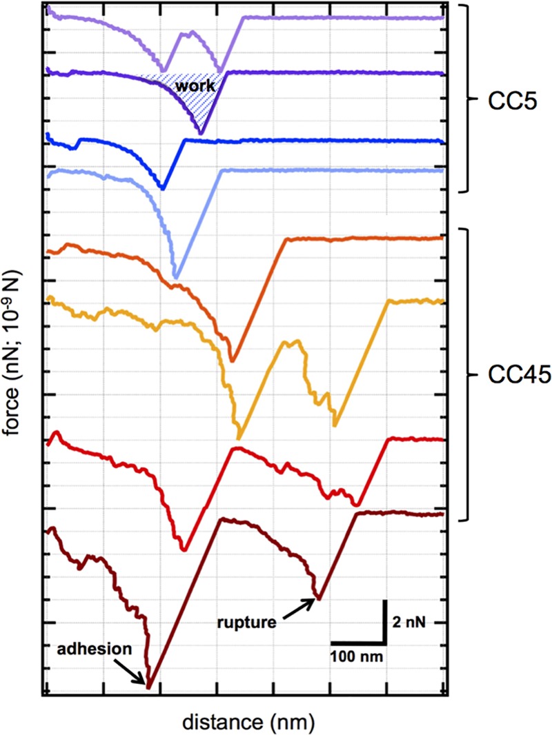 FIG 1