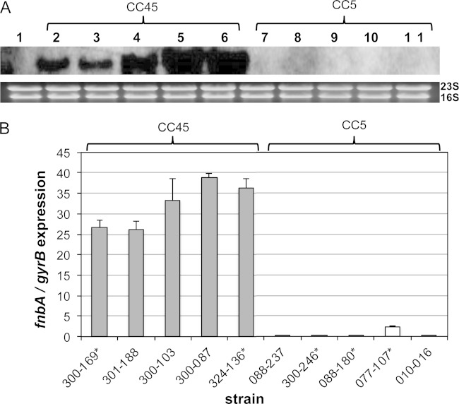 FIG 3