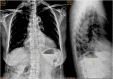 Fig. 9