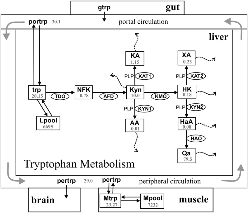 FIGURE 1