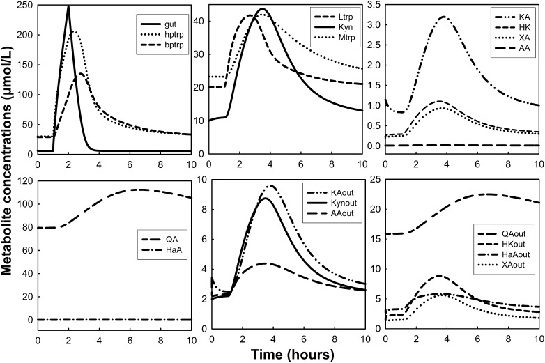 FIGURE 4