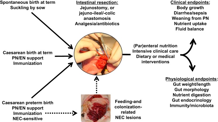 Fig. 2.