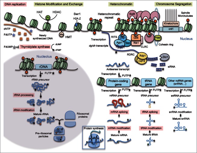 Figure 6.