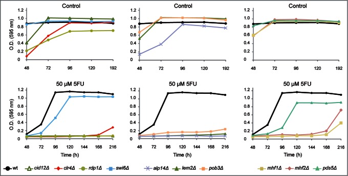 Figure 2.