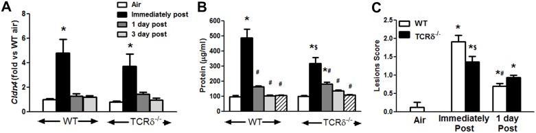 Fig 7