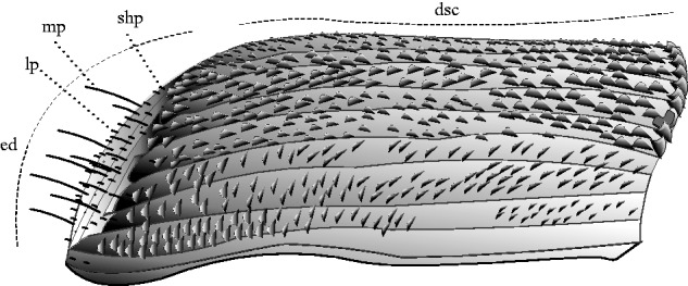 Fig. 10.