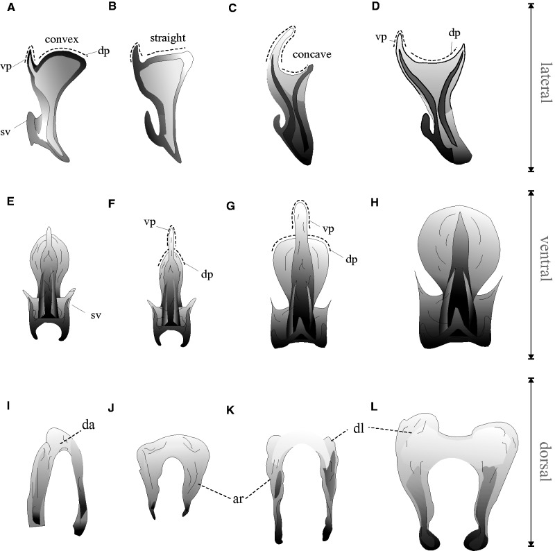 Fig. 11.