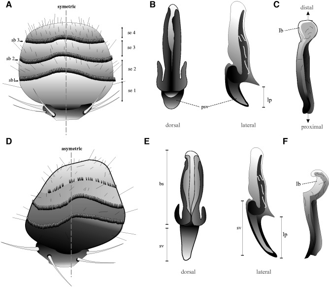 Fig. 7.