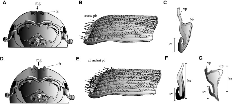 Fig. 8.