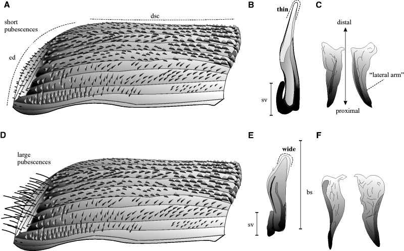 Fig. 9.