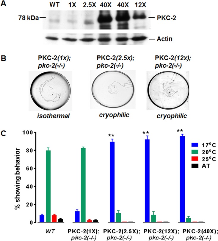 FIG 3