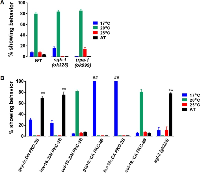 FIG 6