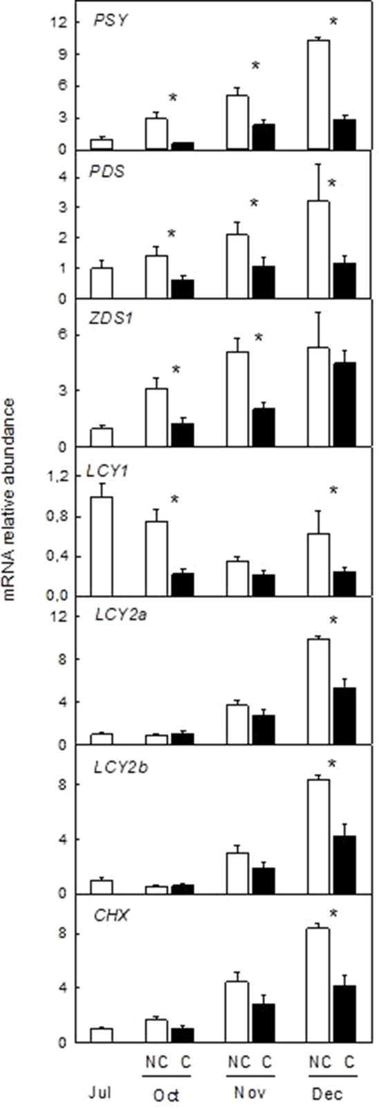 Figure 7